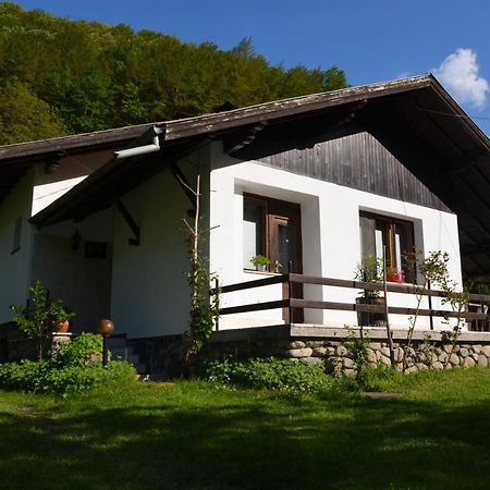 Вила Даяна Ribarica Exterior foto