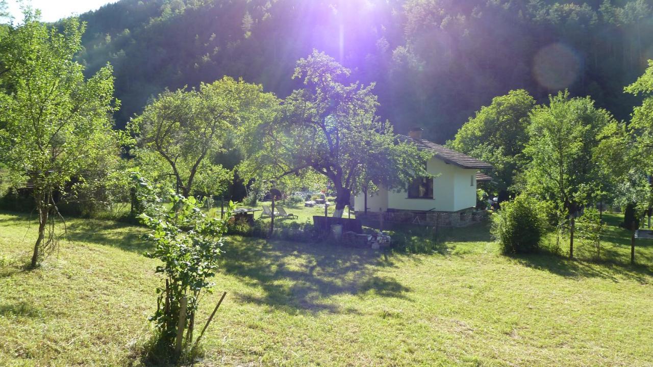 Вила Даяна Ribarica Exterior foto